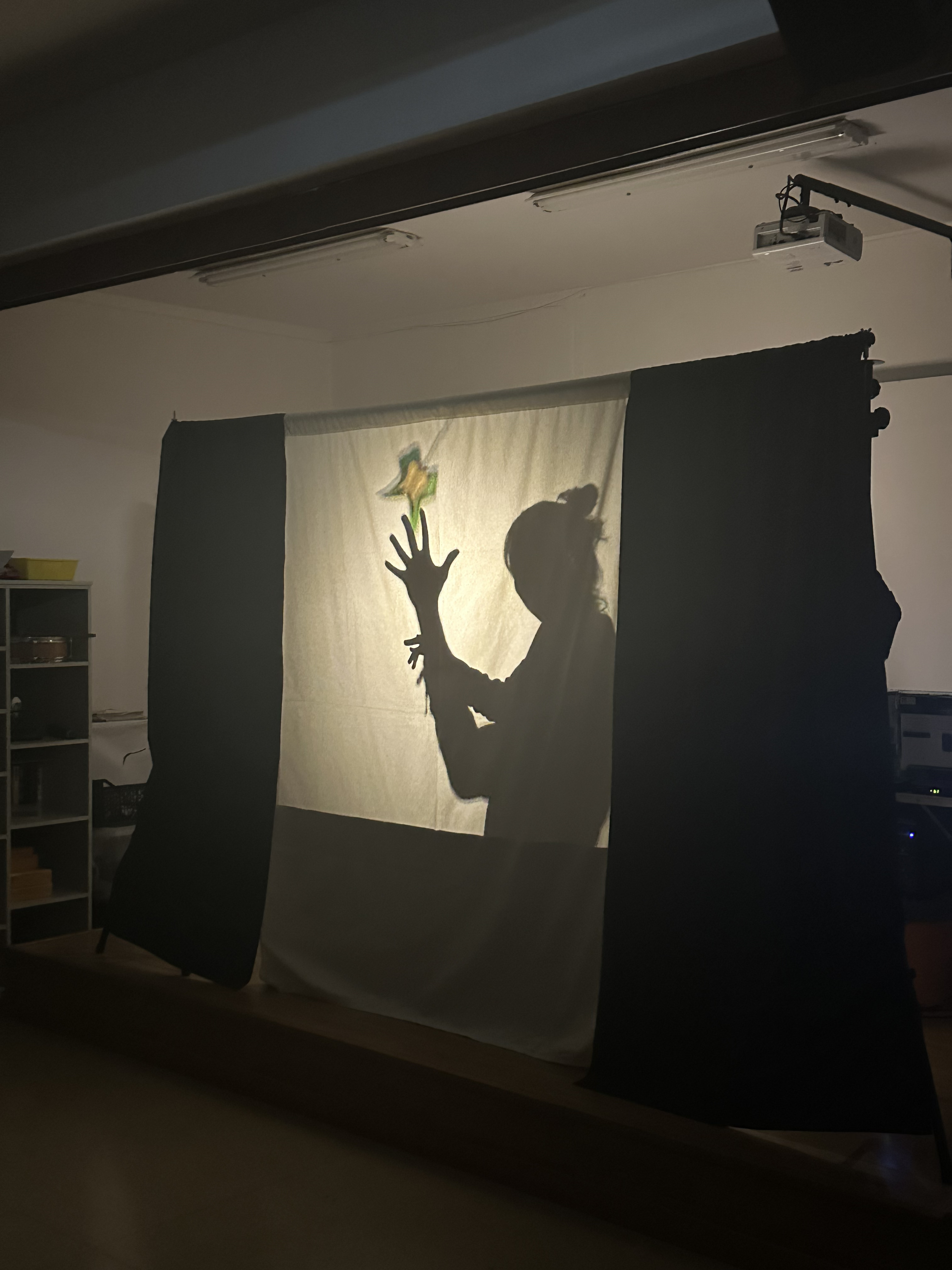 Teatro de sombras en euskera